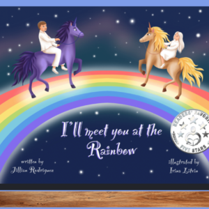 I’ll Meet You At The Rainbow – Hardcover $18